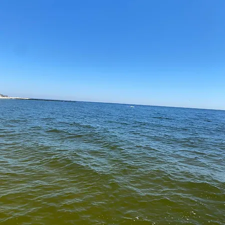 Near The Sea *